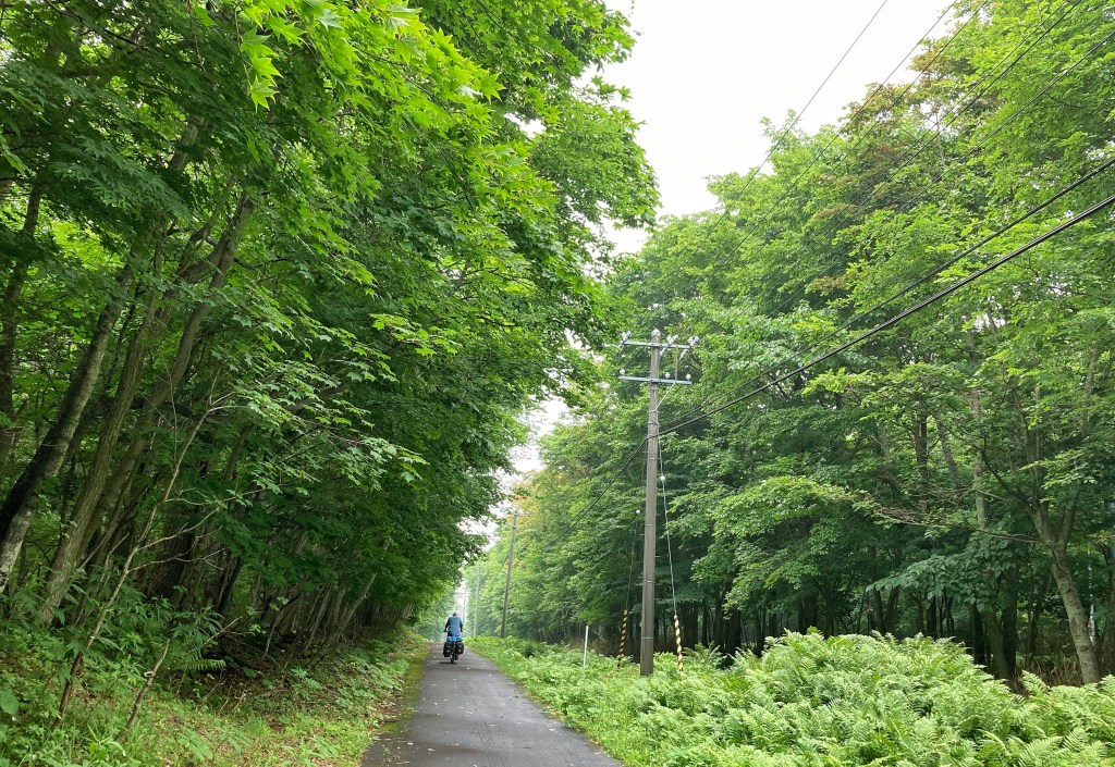 The Niseko hills and Lake&nbsp;Shikotsu
